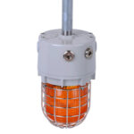 D1xB2X15 Explosion Proof Strobe Beacon 15J